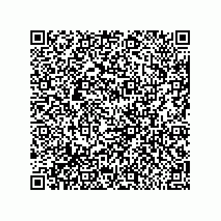vCard 79600031839