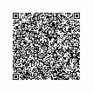 vCard 79600038051