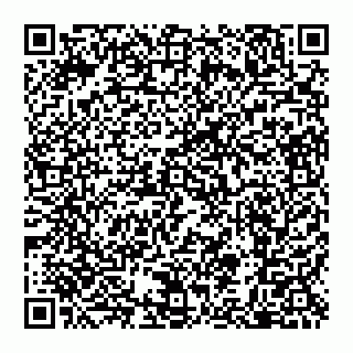 vCard 79600040033