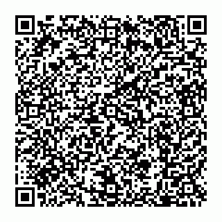 vCard 79600040131