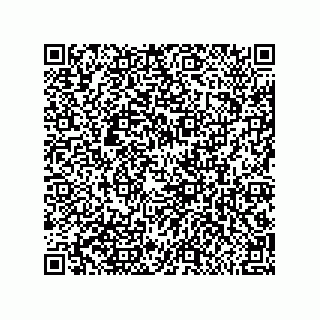 vCard 79600131029