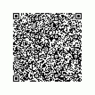 vCard 79600132029