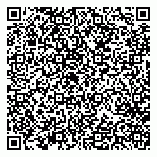 vCard 79603028131