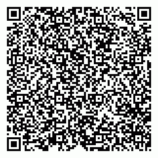vCard 79603033293