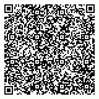 vCard 79603033331