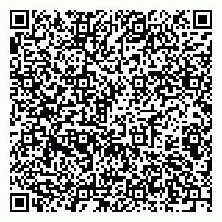 vCard 79603300100