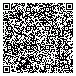 vCard 79603300137