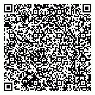 vCard 79603300213