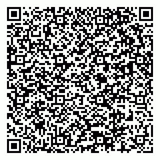 vCard 79603300221
