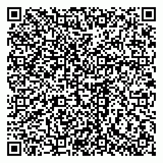 vCard 79603300265