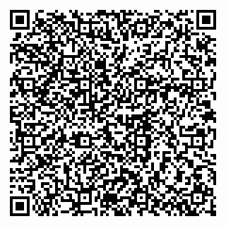 vCard 79603300290