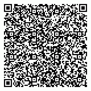 vCard 79603300291