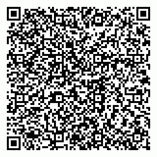 vCard 79603300300