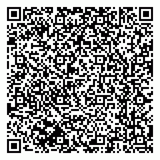 vCard 79603300313