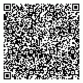 vCard 79603300319