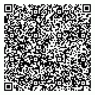 vCard 79603300368