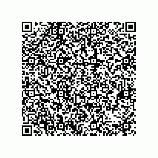 vCard 79603800294