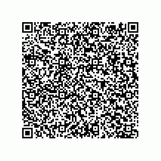 vCard 79603800310