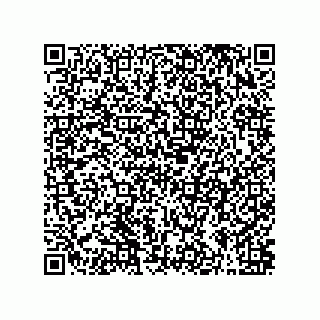 vCard 79603800313
