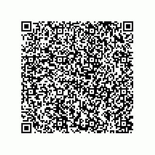 vCard 79603800317