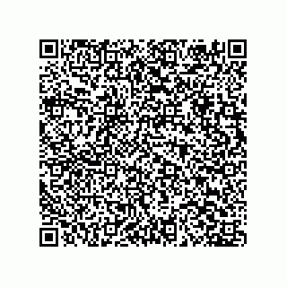 vCard 79603800329