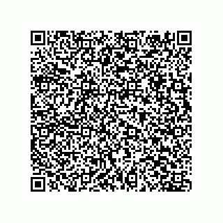 vCard 79603800331