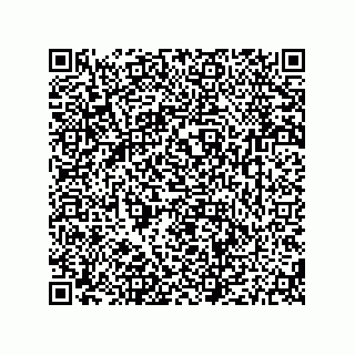 vCard 79604013294