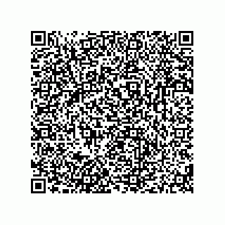 vCard 79604019331