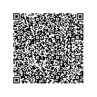 vCard 79604064131