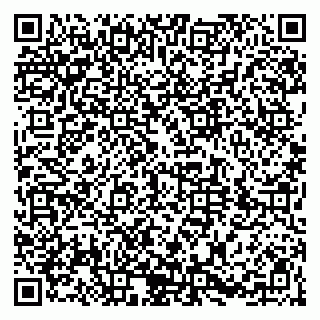 vCard 79604420125