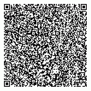 vCard 79605460011