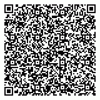 vCard 79605460121