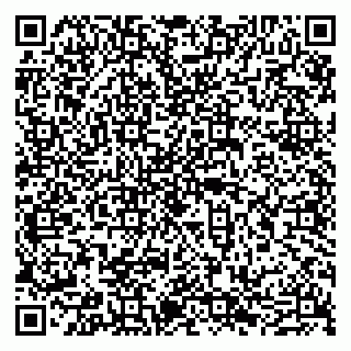 vCard 79605460287