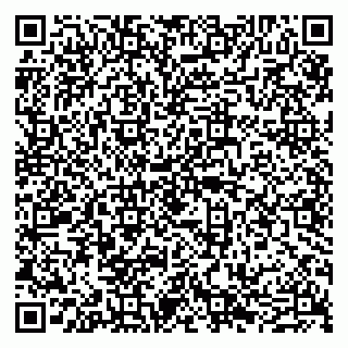 vCard 79605460311