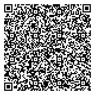 vCard 79605460382