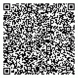 vCard 79605460397
