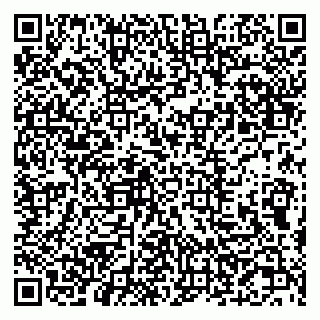 vCard 79607049335
