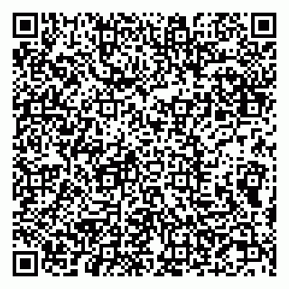 vCard 79607049385