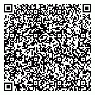vCard 79607074009