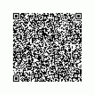 vCard 79608005331