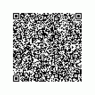 vCard 79608010294