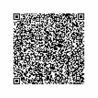 vCard 79608010341