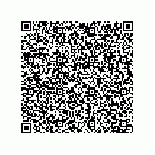 vCard 79608011003