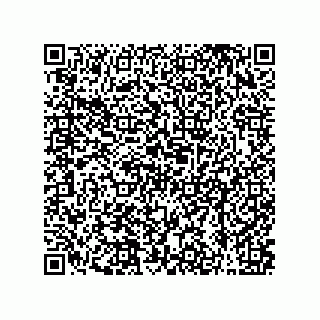 vCard 79608013205