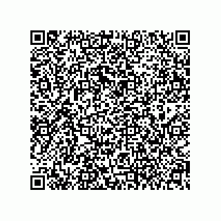 vCard 79608013294