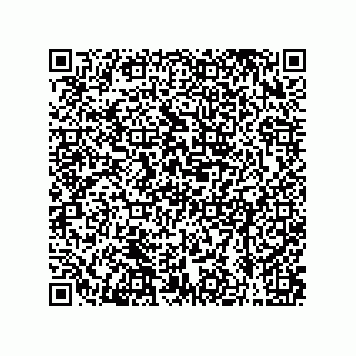 vCard 79608013301