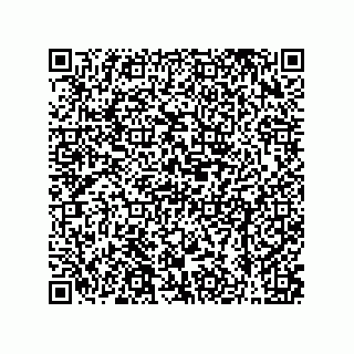 vCard 79608013303
