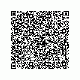 vCard 79608014101