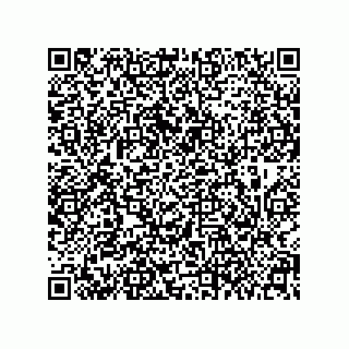 vCard 79608014331