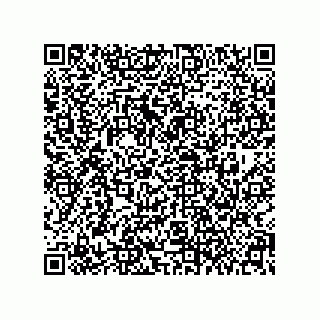 vCard 79608015341